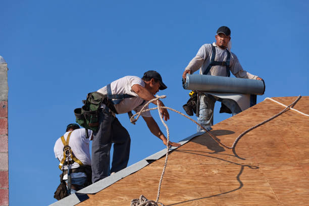 Best Local Roofing Companies  in Glennville, GA